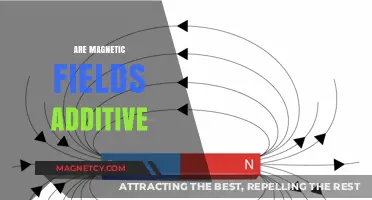 Understanding Magnetic Field Additivity: A Comprehensive Guide