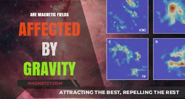 Gravity's Influence on Magnetic Fields: A Scientific Exploration