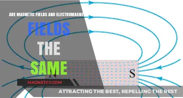 Unraveling the Mystery: Are Magnetic and Electromagnetic Fields the Same?