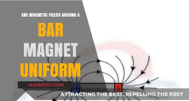 Exploring the Uniformity of Magnetic Fields Around Bar Magnets