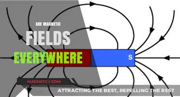 Unseen Forces: The Pervasive Presence of Magnetic Fields