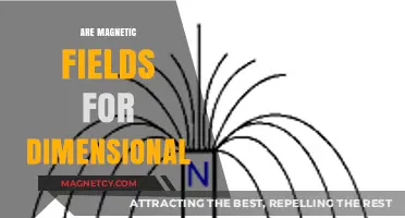 Exploring the Mysteries of Magnetic Fields and Dimensionality