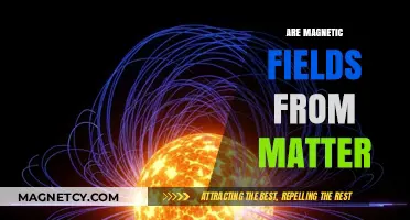 Exploring the Intricacies: Are Magnetic Fields Inherent to Matter?