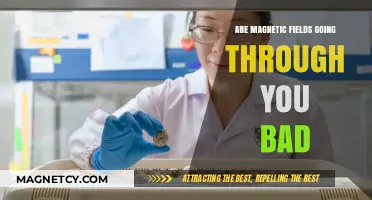 Unseen Forces: The Truth About Magnetic Fields and Your Health
