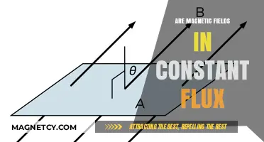 Unraveling the Mystery: Are Magnetic Fields in Constant Flux?