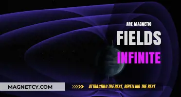 Exploring the Boundless Nature of Magnetic Fields: Are They Infinite?