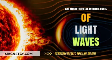 Unveiling the Hidden Connection: Magnetic Fields and Light Waves
