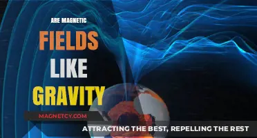 Unveiling the Mysteries: Are Magnetic Fields Gravity's Twin?