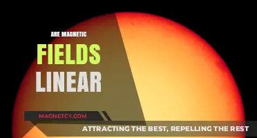 Exploring the Nature of Magnetic Fields: Linear or Non-Linear?
