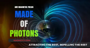 Unveiling the Mystery: Are Magnetic Fields Photonic in Nature?