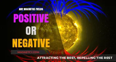 Decoding Magnetic Fields: Understanding Polarity in Nature's Invisible Forces