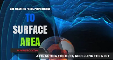 Decoding the Myth: Surface Area and Magnetic Fields Explained