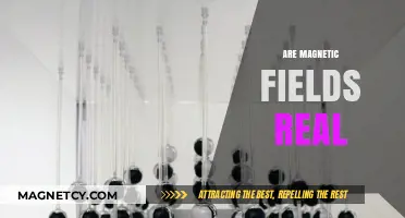 Unveiling the Invisible: The Reality of Magnetic Fields