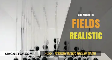 Exploring the Realism of Magnetic Fields: A Scientific Dive
