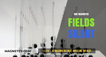 Unveiling the Silent Language of Magnetic Fields