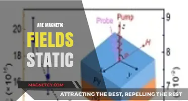 Exploring the Dynamics of Magnetic Fields: Static or Not?