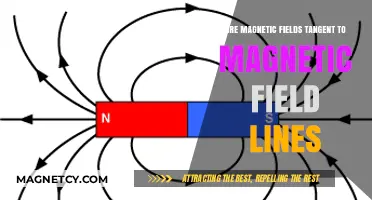 Understanding Magnetic Fields: Are They Tangent to Field Lines?