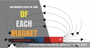Unraveling the Mystery: Are Magnetic Fields the Sum of Individual Magnets?