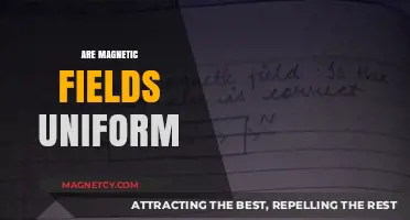 Exploring the Nature of Magnetic Fields: Are They Truly Uniform?