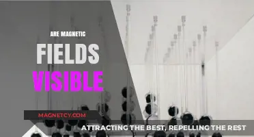 Unveiling the Invisible: Can We See Magnetic Fields?