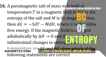 Exploring the Impact of Heat on Magnetic Fields: An Entropy Perspective