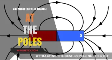 Exploring the Strength of Magnetic Fields at the Poles