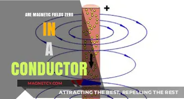 Exploring the Myth: Do Magnetic Fields Truly Vanish Inside Conductors?
