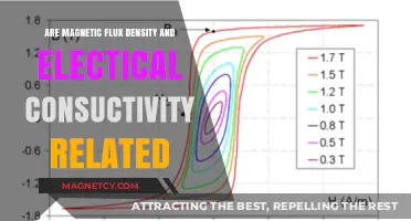 Exploring the Connection Between Magnetic Flux Density and Electrical Conductivity