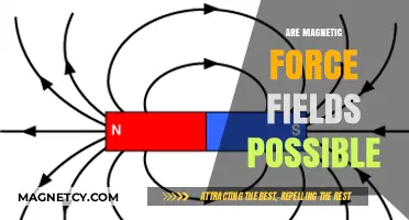 Exploring the Frontiers of Physics: Are Magnetic Force Fields Possible?