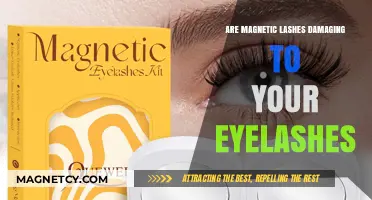 The Truth About Magnetic Lashes: Are They Harming Your Natural Lashes?