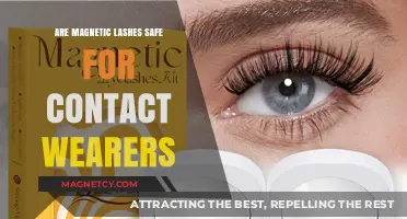 Exploring the Safety of Magnetic Lashes for Contact Lens Wearers