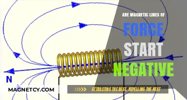Exploring the Polarity: Do Magnetic Lines of Force Begin Negative?