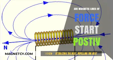 Exploring the Polarity of Magnetic Field Lines