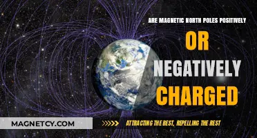 Unveiling the Mystery: Magnetic North Poles' Charge Explained