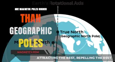 Exploring Earth's Magnetism: Are Magnetic Poles Higher Than Geographic Ones?