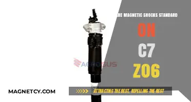 Exploring the C7 Z06: Are Magnetic Shocks a Standard Feature?