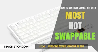 Exploring Magnetic Switches: Are They Universally Hot Swappable?