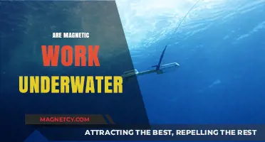 Exploring the Depths: Do Magnets Work Underwater?