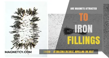 Do Magnets Attract Iron Filings? Exploring Magnetic Properties and Interactions
