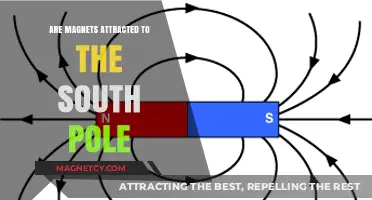 Do Magnets Attract the South Pole? Unraveling Earth's Magnetic Mystery