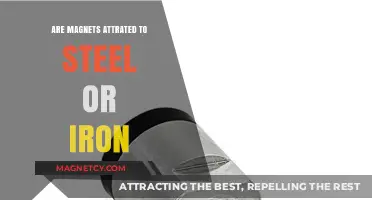 Magnetic Attraction: Steel vs. Iron - Which Metal Draws Magnets?
