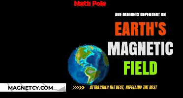Exploring Magnetism: Earth's Field and Its Influence on Magnets