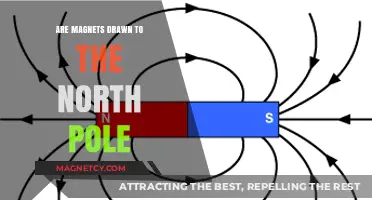 Magnetic Attraction: Unraveling the North Pole Connection