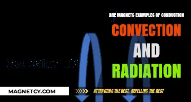 Exploring Magnetism: Conduction, Convection, and Radiation in Action