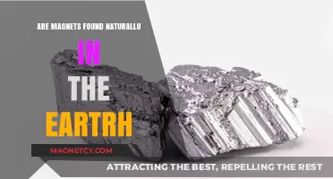 Nature's Hidden Forces: The Earth's Innate Magnetic Wonders