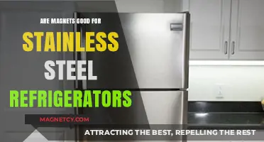 Magnet Magic: The Truth About Stainless Steel Refrigerators