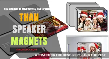 Microwave Magnets vs. Speaker Magnets: Which Ones Are More Powerful?
