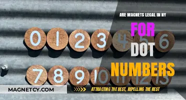Exploring the Legality of Magnets for DOT Numbers in New York