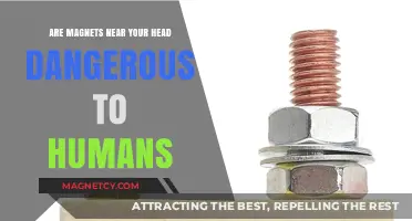 Magnetic Fields and Human Health: Debunking Myths, Exploring Facts