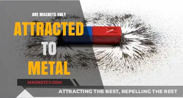 Magnets Beyond Metal: Exploring Surprising Attractions and Material Interactions